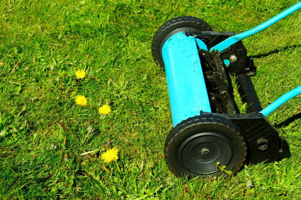 Get Rid of Weeds Without Killing Grass