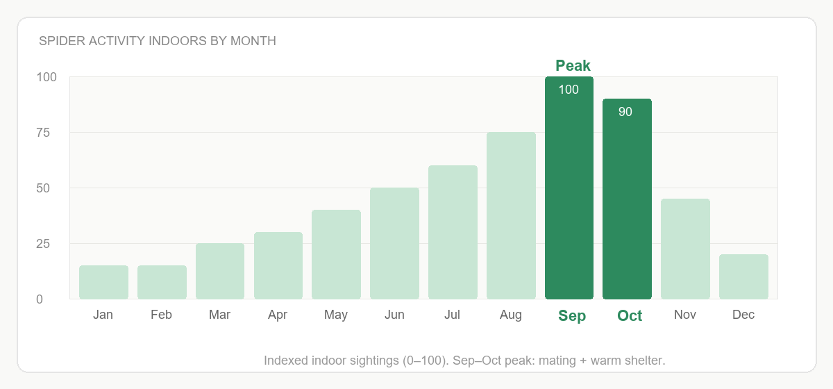 Bar chart of indoor spider activity by month peaking in September and October
