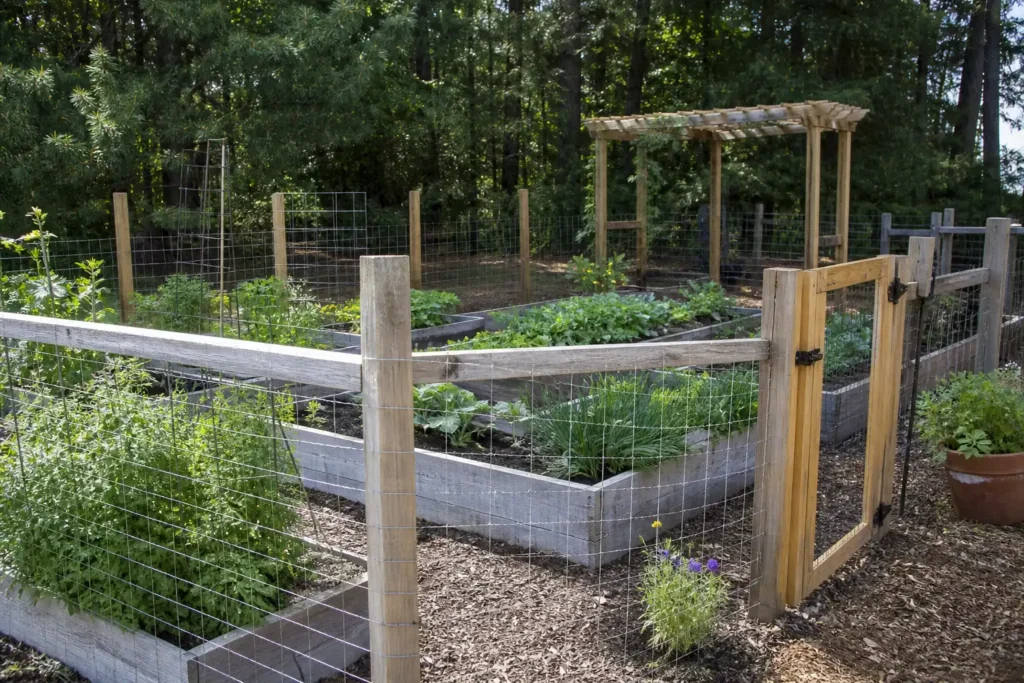 Garden with deer fence and raised beds for yard pest control guides